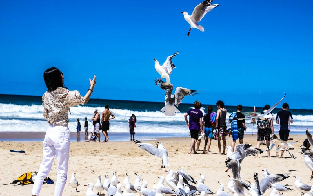 Safety Precautions for Travellers in Queensland